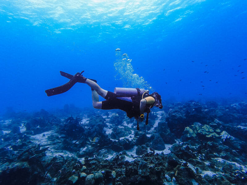media/fabf479e-ef7f-427f-9caf-ad4bad64c819.jpg?w=1500